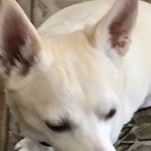 Meet your Posher, Elly